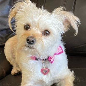 Meet your Posher, Karen